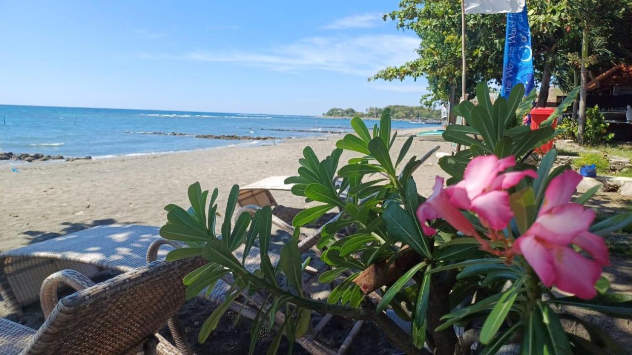 The Beach Bungalows & Turtle Sanctuary Pemuteran Exteriér fotografie